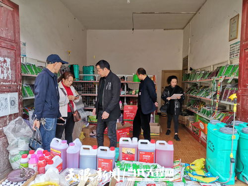畢節大方 農資打假護春耕，促種業安全發展展新篇
